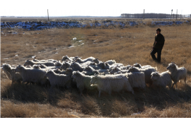 金昌讨债公司成功追回初中同学借款40万成功案例